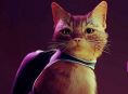 Stray fa le fusa su Xbox One e Xbox Series ad agosto