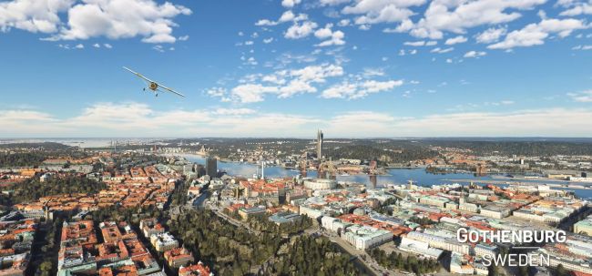 Microsoft Flight Simulator