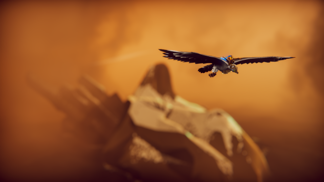 The Falconeer