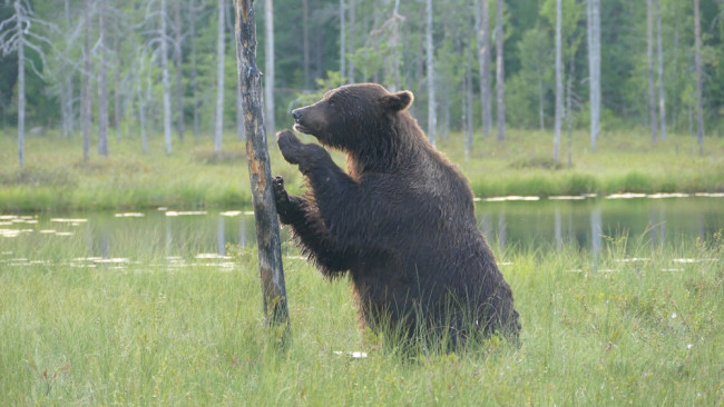 I ricercatori propongono la 