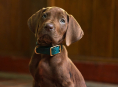 Scooby-Doo sar&agrave; un vero cane nella serie prequel live-action di Netflix Scooby-Doo: Origins 