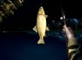 Ultimate Fishing Simulator in arrivo su Xbox One la prossima settimana