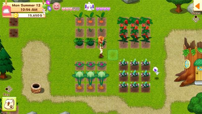 Harvest Moon: Light of Hope