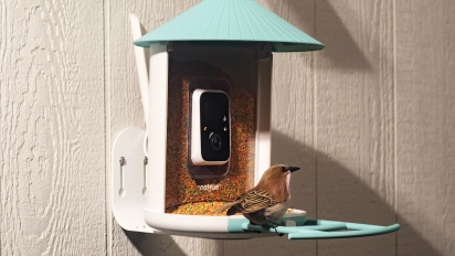 Birdfy vuole rendere l'birdwatching ancora più intenso