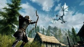 Todd Howard ha rifiutato diversi The Elder Scrolls TV adattamenti