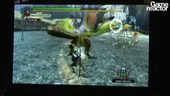 GDC 2010: Monster Hunter Tri - Gameplay